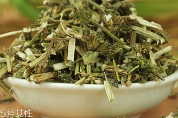 益母草的副作用 益母草也有副作用 益母草的副作用 益母草也有副作用