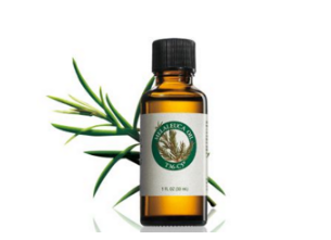 孕婦可以用茶樹(shù)精油嗎 懷孕期間要注意 孕婦可以用茶樹(shù)精油嗎 懷孕期間要注意