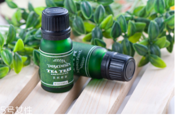 孕婦可以用茶樹(shù)精油嗎 懷孕期間要注意 孕婦可以用茶樹(shù)精油嗎 懷孕期間要注意