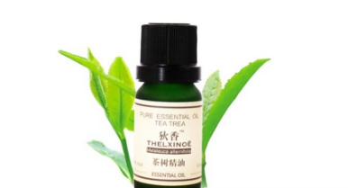茶樹(shù)精油哪個(gè)牌子好 茶樹(shù)精油的選購(gòu)技巧 茶樹(shù)精油哪個(gè)牌子好 茶樹(shù)精油的選購(gòu)技巧