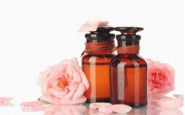 什么精油驅(qū)蚊效果最好 精油驅(qū)蚊的方法 什么精油驅(qū)蚊效果最好 精油驅(qū)蚊的方法