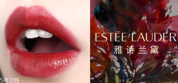 雅詩蘭黛307什么氣質(zhì) 少女冪愛薄涂 雅詩蘭黛307什么氣質(zhì) 少女冪愛薄涂