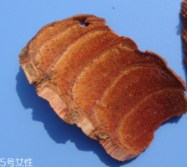 雞血藤是什么顏色 形同雞血色 雞血藤是什么顏色 形同雞血色