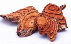 雞血藤能治什么病 治療皮膚瘙癢 雞血藤能治什么病 治療皮膚瘙癢