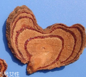 雞血藤能治什么病 治療皮膚瘙癢 雞血藤能治什么病 治療皮膚瘙癢