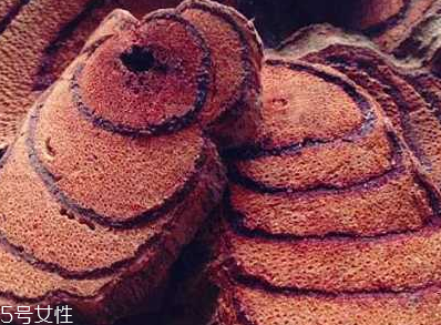 雞血藤是發(fā)物嗎 不屬于發(fā)物 雞血藤是發(fā)物嗎 不屬于發(fā)物