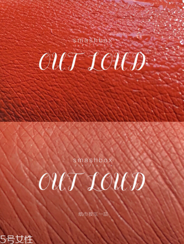 雅詩(shī)蘭黛333和阿瑪尼405哪個(gè)好看 黃皮最?lèi)?ài)超顯白