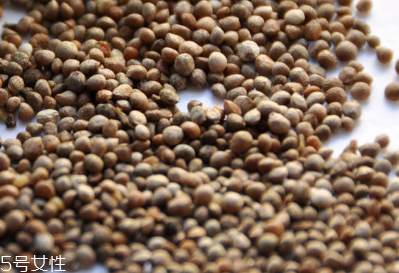 紫蘇子的主要價(jià)值 增強(qiáng)學(xué)習(xí)記憶能力 紫蘇子的主要價(jià)值 增強(qiáng)學(xué)習(xí)記憶能力