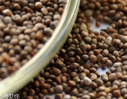 紫蘇子的主要價(jià)值 增強(qiáng)學(xué)習(xí)記憶能力 紫蘇子的主要價(jià)值 增強(qiáng)學(xué)習(xí)記憶能力