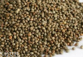 紫蘇子有毒嗎 使用過量會產(chǎn)生輕微毒素