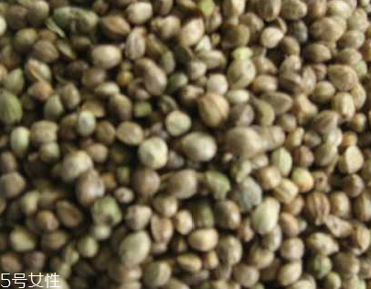 紫蘇子是溫性還是涼性 紫蘇子性溫 紫蘇子是溫性還是涼性 紫蘇子性溫