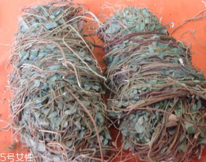 雞骨草可以長期服用嗎 不建議每天都喝 雞骨草可以長期服用嗎 不建議每天都喝