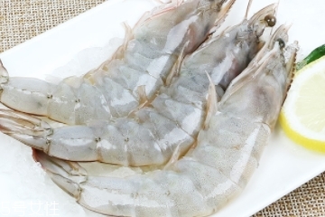 基圍蝦會過敏嗎 海鮮都易過敏 基圍蝦會過敏嗎 海鮮都易過敏