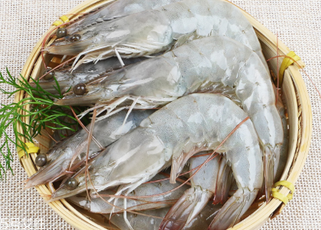 基圍蝦會過敏嗎 海鮮都易過敏 基圍蝦會過敏嗎 海鮮都易過敏