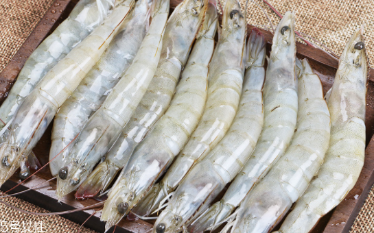 基圍蝦會過敏嗎 海鮮都易過敏 基圍蝦會過敏嗎 海鮮都易過敏