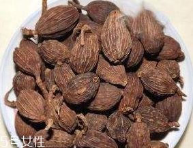 草果是做什么的 用處多方面 草果是做什么的 用處多方面