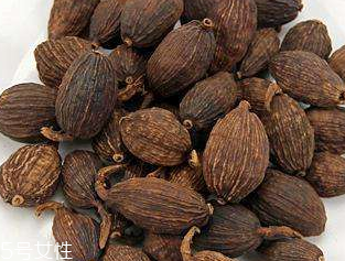 草果是熱性還是涼性的食物 草果是熱性還是涼性的食物