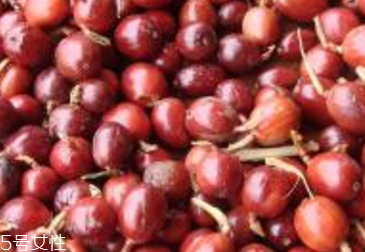 草果治療口臭嗎 有很好的療效 草果治療口臭嗎 有很好的療效