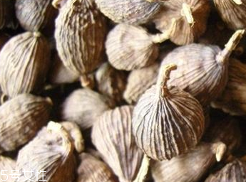 草果和草果仁的區(qū)別 草果仁是草果的果實 草果和草果仁的區(qū)別 草果仁是草果的果實