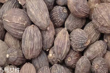 草果可以給孕婦吃嗎 適當(dāng)吃沒(méi)關(guān)系 草果可以給孕婦吃嗎 適當(dāng)吃沒(méi)關(guān)系