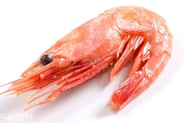 北極蝦是北極的嗎 北極蝦產(chǎn)自北極 北極蝦是北極的嗎 北極蝦產(chǎn)自北極