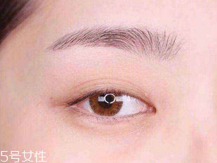 眉筆和眉粉哪個更適合新手 眉筆和眉粉哪個更適合新手