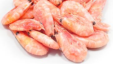 北極蝦的熱量 低熱量高蛋白 北極蝦的熱量 低熱量高蛋白