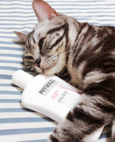 霏絲佳乳液有激素嗎 一款適合適合干皮的乳液 霏絲佳乳液有激素嗎 一款適合適合干皮的乳液