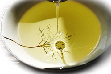 茶油能和花生油混合嗎 混合更好吃 茶油能和花生油混合嗎 混合更好吃