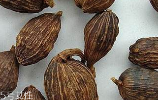 罌粟籽和大麻籽屬于什么 罌粟籽和大麻籽屬于什么