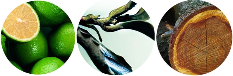 茶味香水哪個(gè)牌子好 緩解焦躁的寧?kù)o香水 茶味香水哪個(gè)牌子好 緩解焦躁的寧?kù)o香水