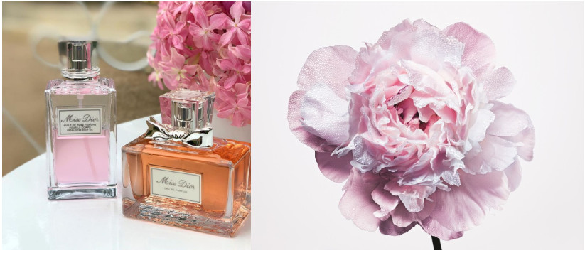 夏天用什么產(chǎn)品身上香香的 夏天用什么產(chǎn)品身上香香的