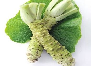 山葵的選購技法很簡單 山葵的選購技法很簡單