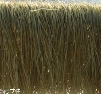 鴨血粉絲湯里的粉絲對身體有好處 鴨血粉絲湯里的粉絲對身體有好處