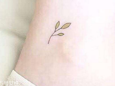 紋身能拔罐嗎 這是禁止的 紋身能拔罐嗎 這是禁止的