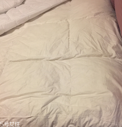 羽絨被能放樟腦丸嗎 不要直接放置 羽絨被能放樟腦丸嗎 不要直接放置