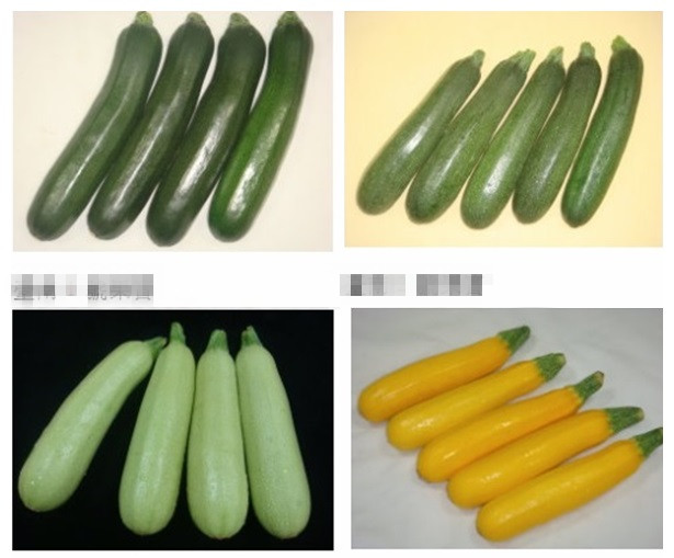 西葫蘆的切法 不同切法不同做法 西葫蘆的切法 不同切法不同做法