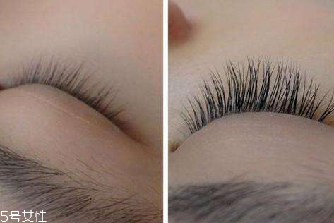嫁接睫毛越多越好看嗎 跟原生睫毛數(shù)量一致才自然 嫁接睫毛越多越好看嗎 跟原生睫毛數(shù)量一致才自然