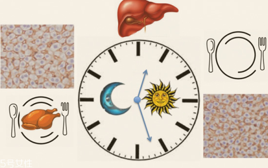 燃燒脂肪是什么感覺 燃燒脂肪的感覺 燃燒脂肪是什么感覺 燃燒脂肪的感覺