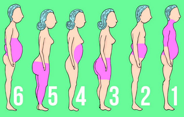 人體脂肪分為哪幾種類型 6種常見的脂肪類型 人體脂肪分為哪幾種類型 6種常見的脂肪類型