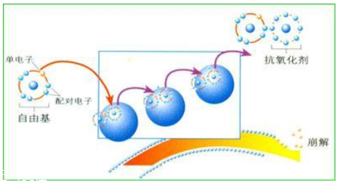 油性皮膚怎么抗氧化 拯救初老臉3步曲 油性皮膚怎么抗氧化 拯救初老臉3步曲