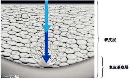 干性皮膚怎么去斑最好 堅(jiān)持3原則斑點(diǎn)拜拜 干性皮膚怎么去斑最好 堅(jiān)持3原則斑點(diǎn)拜拜