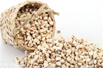 薏仁怎么吃 這樣做好吃有營養(yǎng) 薏仁怎么吃 這樣做好吃有營養(yǎng)