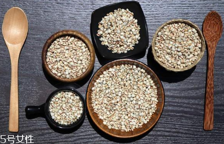 薏仁怎么吃 這樣做好吃有營養(yǎng) 薏仁怎么吃 這樣做好吃有營養(yǎng)