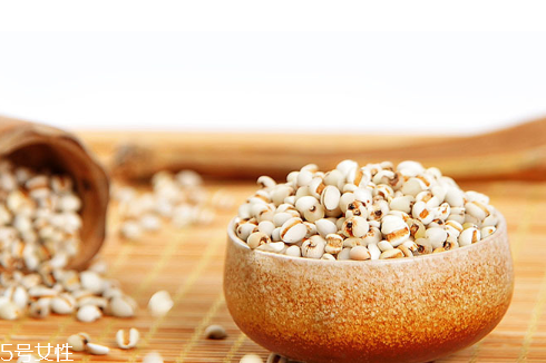 薏仁怎么吃 這樣做好吃有營養(yǎng) 薏仁怎么吃 這樣做好吃有營養(yǎng)