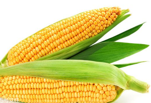 玉米油是怎么榨的 原來(lái)是這樣 玉米油是怎么榨的 原來(lái)是這樣