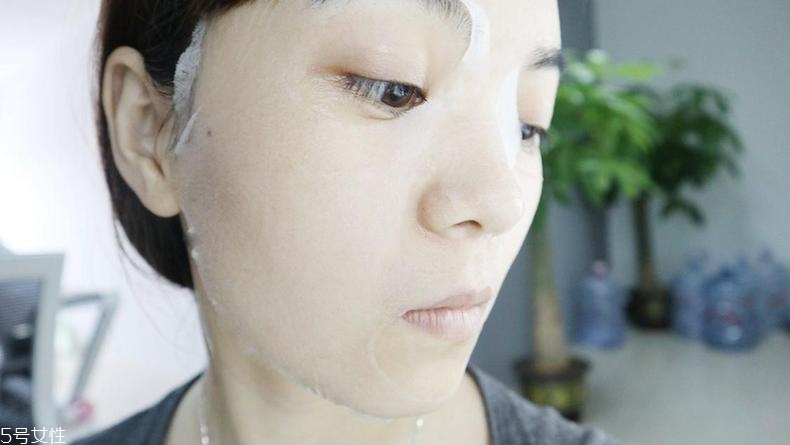 jm蜂蜜面膜和jm玫瑰面膜哪個好 2款大火面膜pk jm蜂蜜面膜和jm玫瑰面膜哪個好 2款大火面膜pk