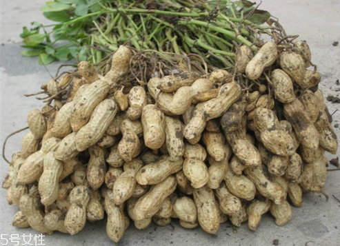 花生油保質(zhì)期 一般18個(gè)月 花生油保質(zhì)期 一般18個(gè)月