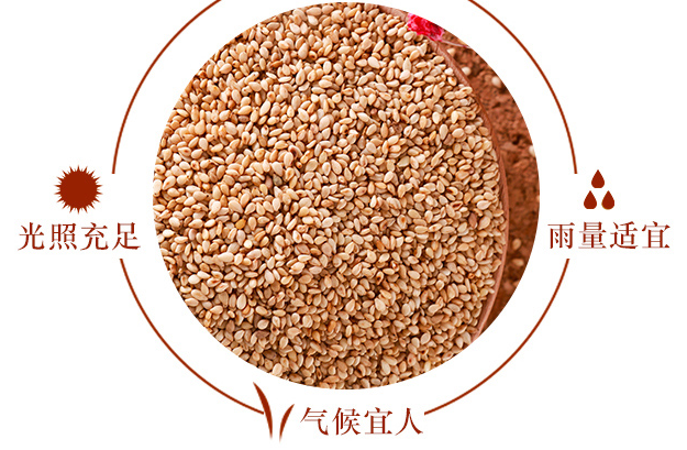 芝麻油要放冰箱嗎 放冰箱保質(zhì)期更長 芝麻油要放冰箱嗎 放冰箱保質(zhì)期更長