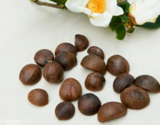 茶油是什么味道 略帶苦味 茶油是什么味道 略帶苦味